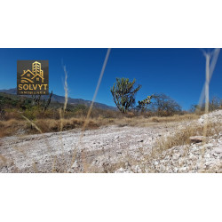 SAN MIGUEL APOZOL, ZACATECAS